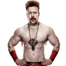 WWE2K14 Render Sheamus