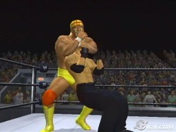 SVR2007 PS2 HulkHogan 3