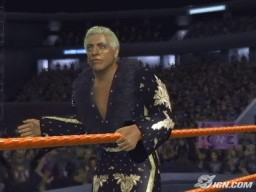 SVR2007 PS2 RicFlair 4