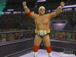 SVR2007 PS2 DustyRhodes 1