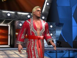 HereComesThePain RicFlair 3