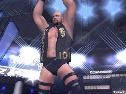 HereComesThePain StoneCold SteveAustin 3