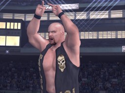 HereComesThePain StoneCold SteveAustin 4