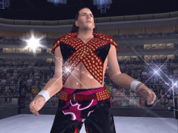 HereComesThePain ShawnMichaels 3