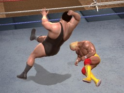 LOW 007 HulkHogan AndreTheGiant 7