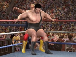 LOW 011 HulkHogan AndreTheGiant 11