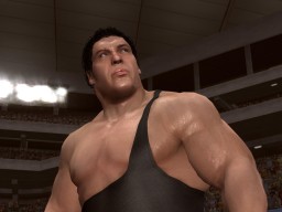 LOW AndreTheGiant 2