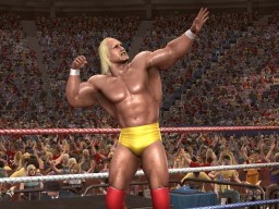 LOW HulkHogan 2