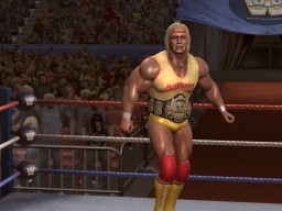 LOW HulkHogan 3