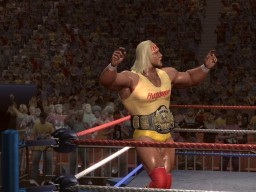 LOW HulkHogan 4