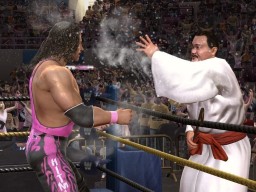 LOW MrFuji BretHart