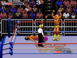 WWF RoyalRumble 1993 HulkHogan TheModel 3