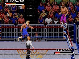 WWF RoyalRumble 1993 RandySavage MrPerfect 2