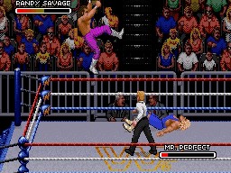 WWF RoyalRumble 1993 RandySavage MrPerfect 3