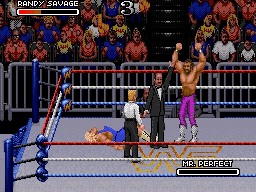 WWF RoyalRumble 1993 RandySavage MrPerfect 4