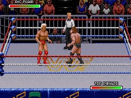 WWF RoyalRumble 1993 RicFlair TedDibiase