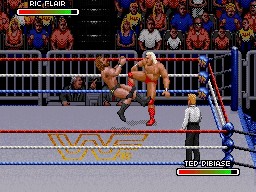 WWF RoyalRumble 1993 RicFlair TedDibiase 2