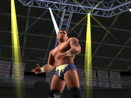 WrestleManiaXIX RandyOrton 3