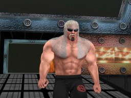 WrestleManiaXIX ScottSteiner 2