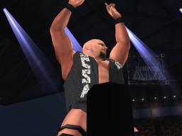 WrestleManiaXIX SteveAustin 2