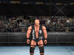 WrestleManiaXIX SteveAustin 3