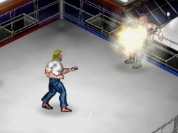 FireProWrestlingWorld 04