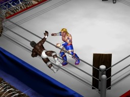 FireProWrestlingWorld 05