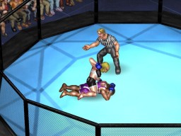 FireProWrestlingWorld 07