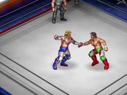 FireProWrestlingWorld 11