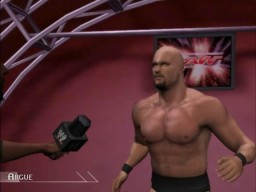 Raw2 SteveAustin