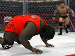 WWE12 OrtonPunt2