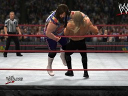 WWE13 DudeLove