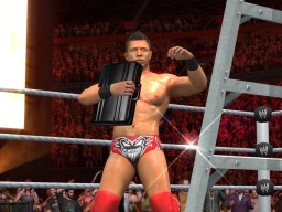 SvR2011 Miz MITB 3