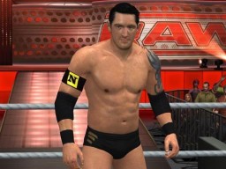 SvR2011 WadeBarrett