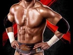 WWE '13 Artworks