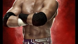 WWE 2K14 Artworks