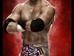 WWE 2K14 Artworks