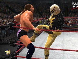 WWE13 Goldust2