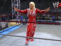 WWE2K14 RicFlairRetroRing