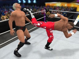 WWE2K15 PS360 HBKFlair