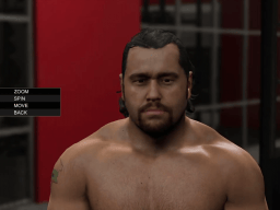 WWE2K15 SuperstarStudio Screen103