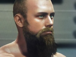 WWE2K16 CASBeard