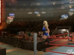 SVR2009 Bethphoenix 2