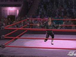 SvR2008 Bret Hart 03