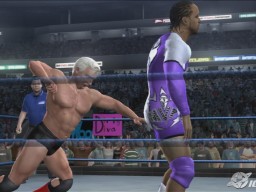 SvR2008 Ric Flair 01