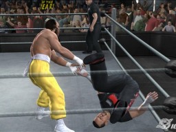 SvR2008 Sabu 08