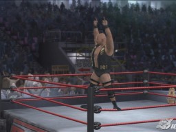 SvR2008 Steve Austin 03