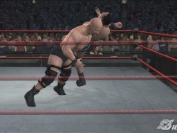 SvR2008 Steve Austin 05