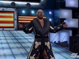 SVR2007 RicFlair 2