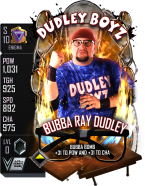 supercard bubbaraydudley special s10 enigma